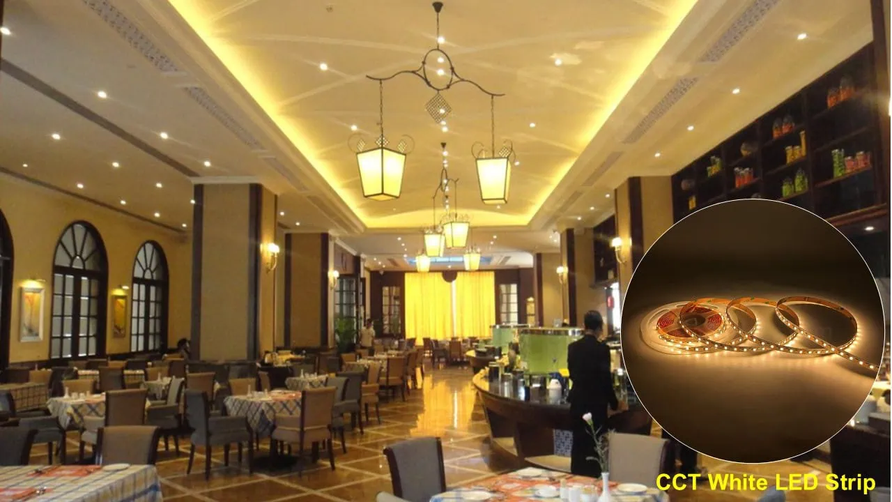LED strips on the cafe ceiling create mood lighting n