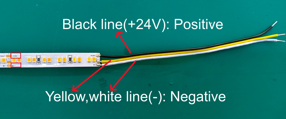 cct led strip polarity