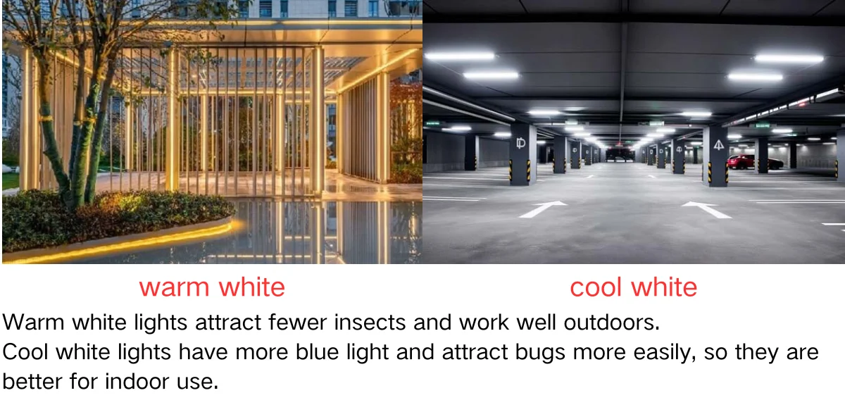 LED Color Temperature and Insect Attraction