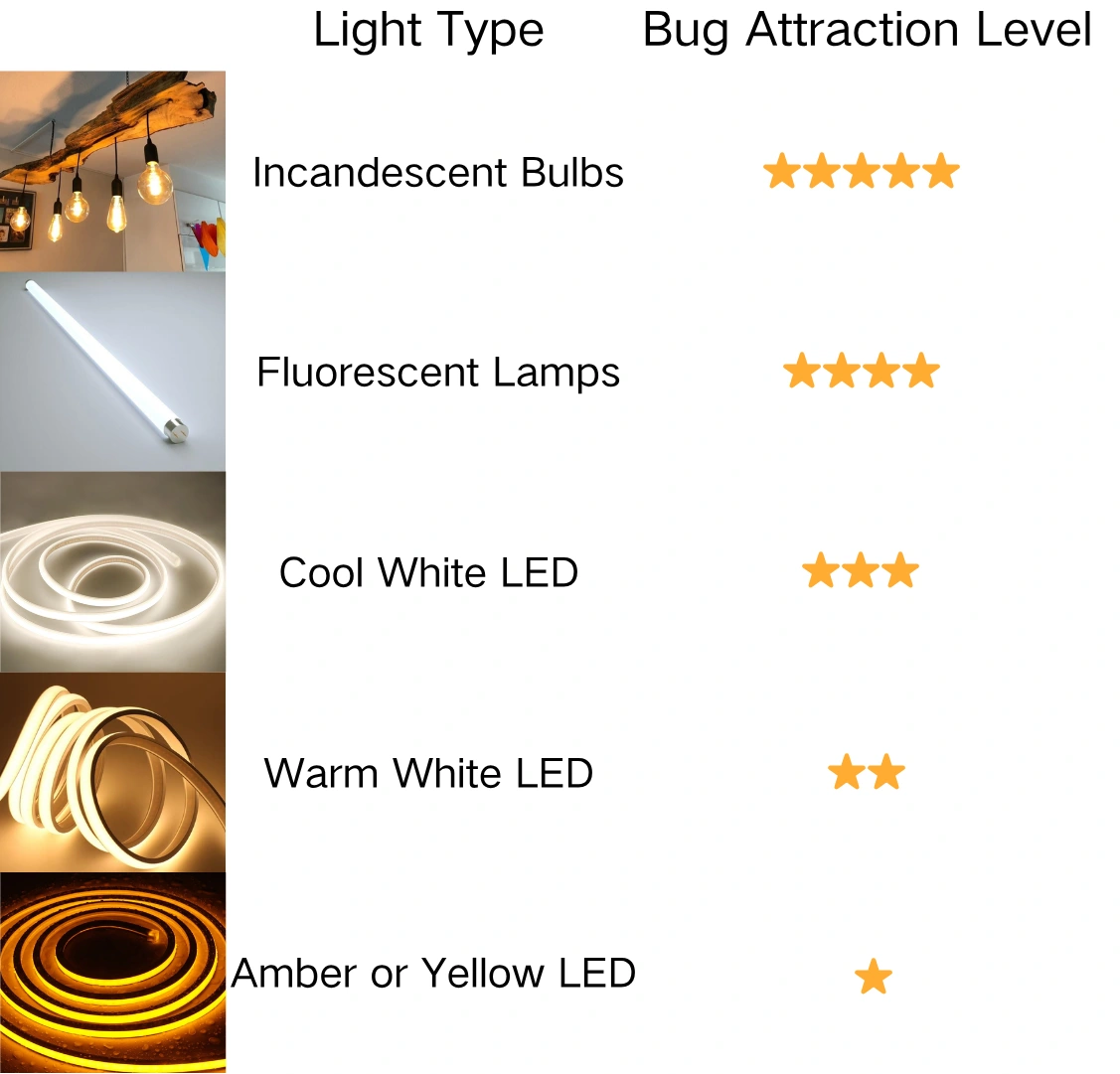 Which Lights Attract the Most Bugs